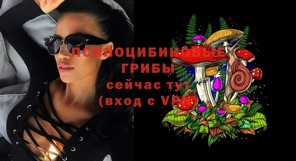 стафф Строитель